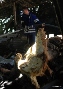 В Аркадии сгорел ресторан Fanconi