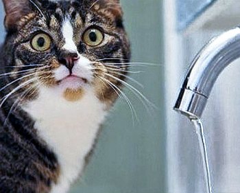 5 июля Инфоксводоканал отключит воду  в Одессе