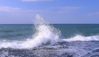 Эколог: Черному морю грозит экологическая катастрофа