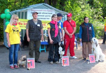 Собаки соревновались в многоборье