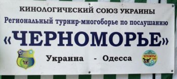 Собаки соревновались в многоборье