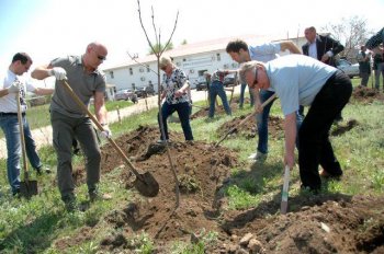 Субботник в Лузановке