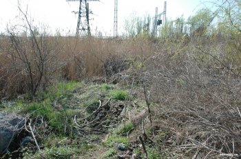 Субботник на Большевике