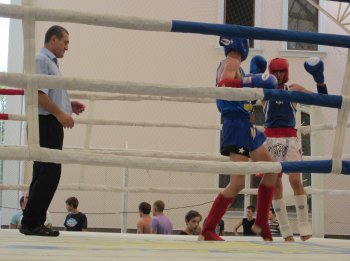 Завершился Чемпионат Украины по муэй-тай
