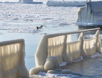 Одесское побережье во льду