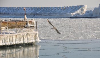 Одесское побережье во льду