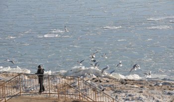 Одесское побережье во льду