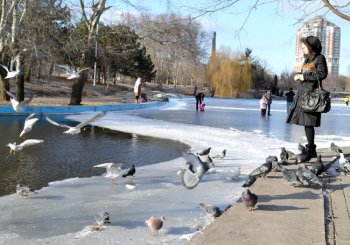 В одесском парке Победы пруд, как и в прошлом году, превратили в каток