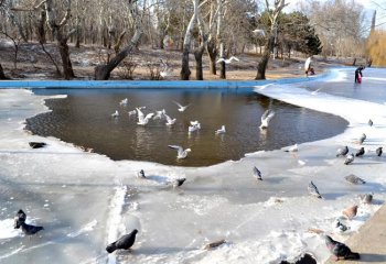 В одесском парке Победы пруд, как и в прошлом году, превратили в каток
