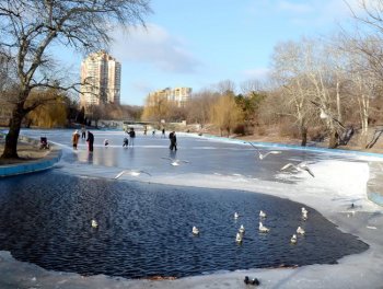 В одесском парке Победы пруд, как и в прошлом году, превратили в каток