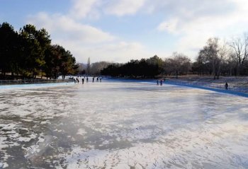 В одесском парке Победы пруд, как и в прошлом году, превратили в каток