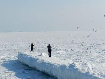 Царство Снежной Королевы