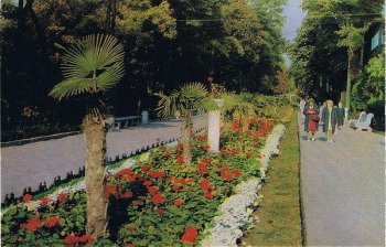 Аркадия 40-50 годы