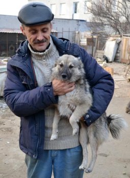 Как спасти зверей? Единственный приют для бездомных животных в Одессе переполнен выше всяких норм и пределов.