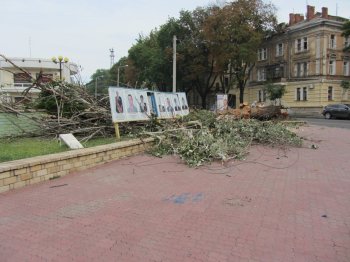 Одесса. 11 июля. После грозы