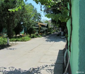 Горячая пора в Затоке