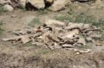 В Аккерманской крепости археологи что-то нашли…