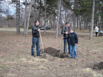 В Парке Победы посадили 30 ясеней
