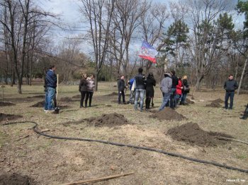 В Парке Победы посадили 30 ясеней