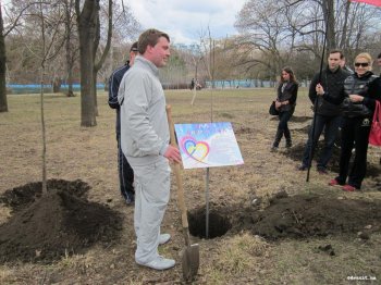 В Парке Победы посадили 30 ясеней