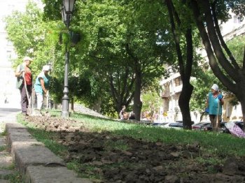 «Горзелентрест» обновляет праздничный макияж зеленого убранства города