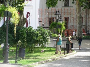 «Горзелентрест» обновляет праздничный макияж зеленого убранства города