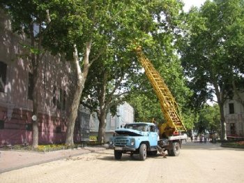 «Горзелентрест» обновляет праздничный макияж зеленого убранства города