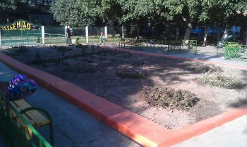 Как аварийный бассейн в детском саду превратили в клумбу