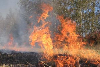 Одесситов просят соблюдать правила пожарной безопасности во время нынешней жары