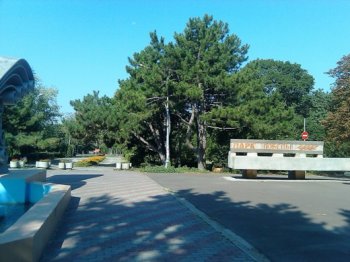 День города в Одессе отметят выставкой цветов и фестивалем декоративно-прикладного искусства