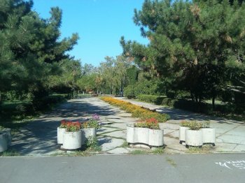 День города в Одессе отметят выставкой цветов и фестивалем декоративно-прикладного искусства