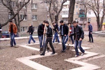 За один день в городе стало на 100 деревьев больше