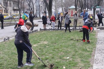 За один день в городе стало на 100 деревьев больше