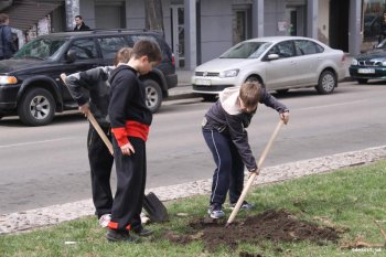 За один день в городе стало на 100 деревьев больше
