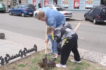 За один день в городе стало на 100 деревьев больше