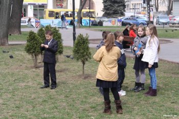 За один день в городе стало на 100 деревьев больше