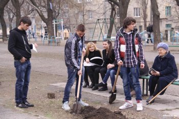 За один день в городе стало на 100 деревьев больше