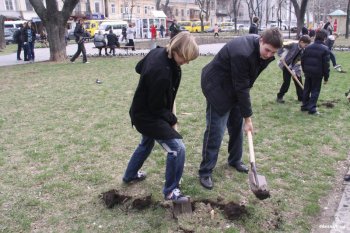 За один день в городе стало на 100 деревьев больше