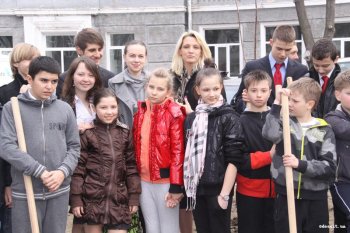 За один день в городе стало на 100 деревьев больше