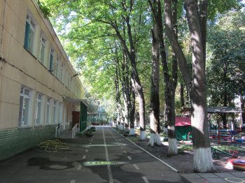 Взрослым - помощь в ремонте, детям - красочное шоу