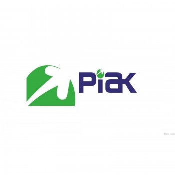 Телекомпания «РИАК» на грани развала