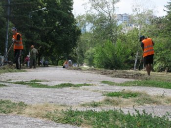Одесский парк Победы готовится к выставке цветов