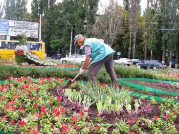 Ко Дню города в Одессе появилась клумба с топиарной фигурой – птицей счастья