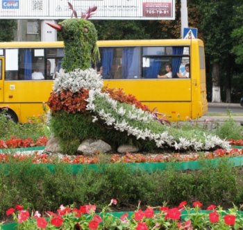 Ко Дню города в Одессе появилась клумба с топиарной фигурой – птицей счастья
