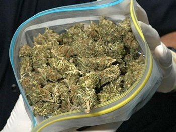 Распространить марихуану в Одессе помешали сотрудники милиции