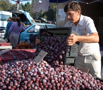 В Одессе открылась большая осенняя продуктовая ярмарка