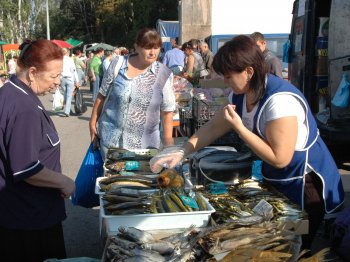 В Одессе открылась большая осенняя продуктовая ярмарка