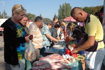 В Одессе открылась большая осенняя продуктовая ярмарка