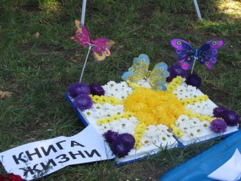 Выставка цветов в парке Победы