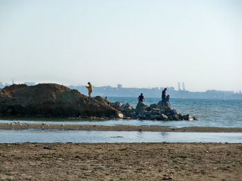 Крыжановка уходит в море?